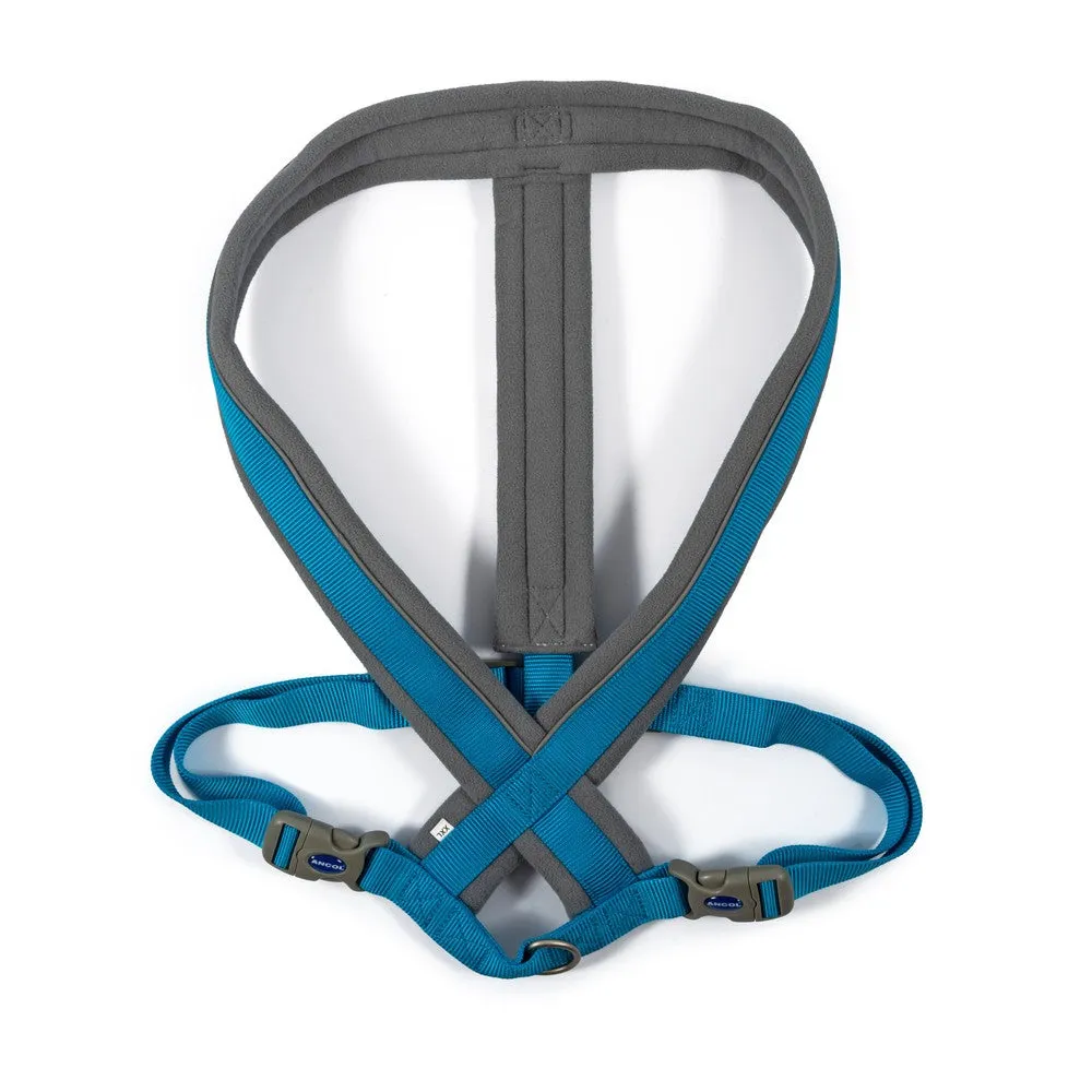 Ancol Viva Padded Harness Blue XL 70-98cm