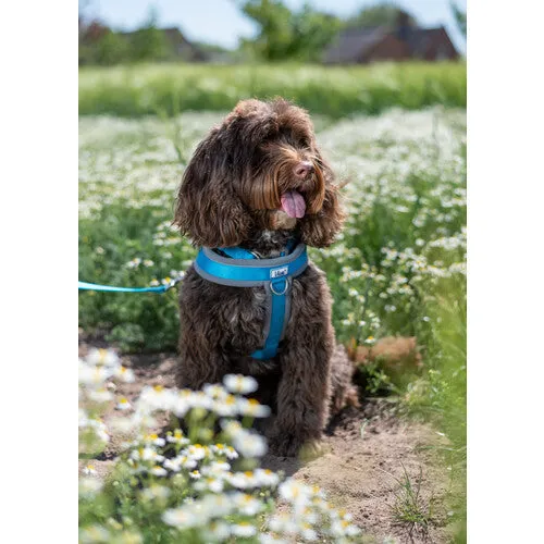 Ancol Viva Padded Harness Blue XL 70-98cm